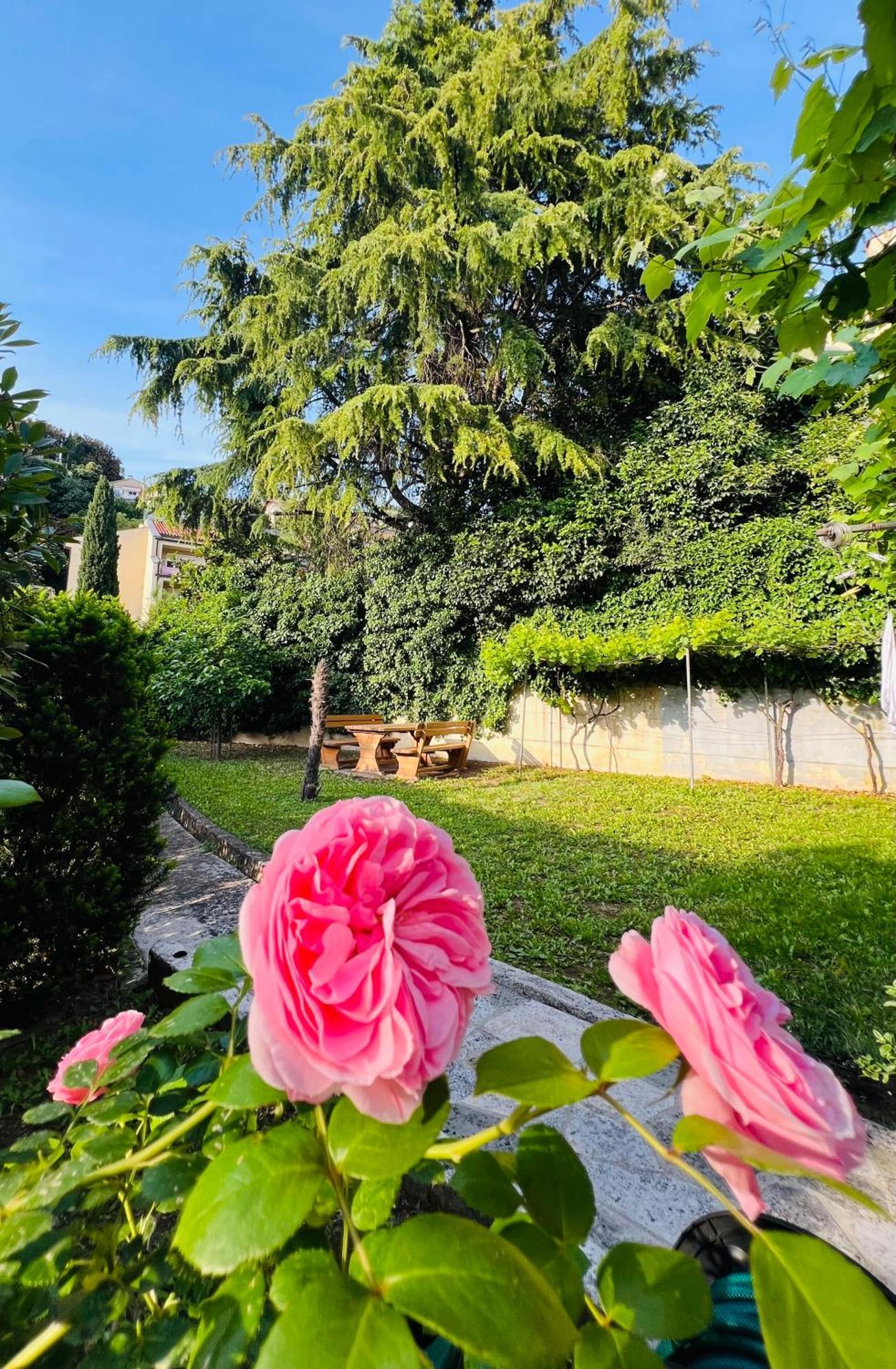 Villa Verde Piran, Authentic Mediterranean Stay Exterior photo